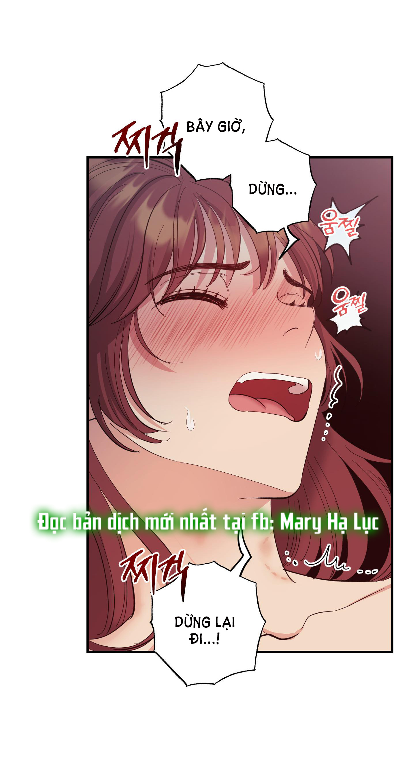 [18+] một lòng một dạ chapter 31.1 13