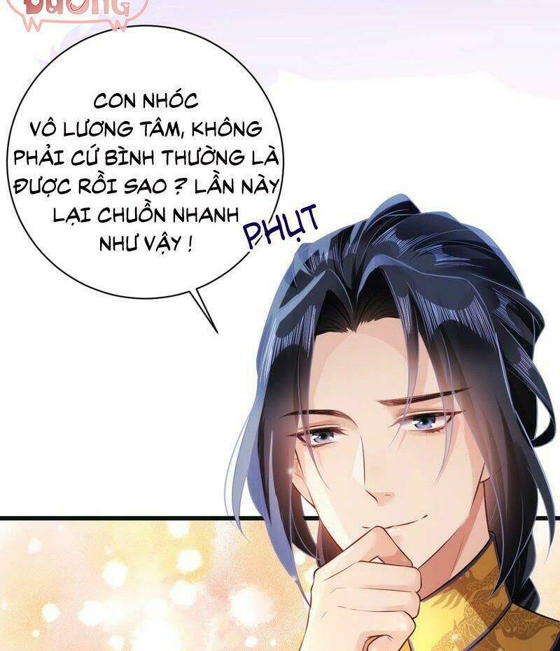 quận chúa vững vàng, thiết lập nhân vật không thể vỡ chapter 50 21