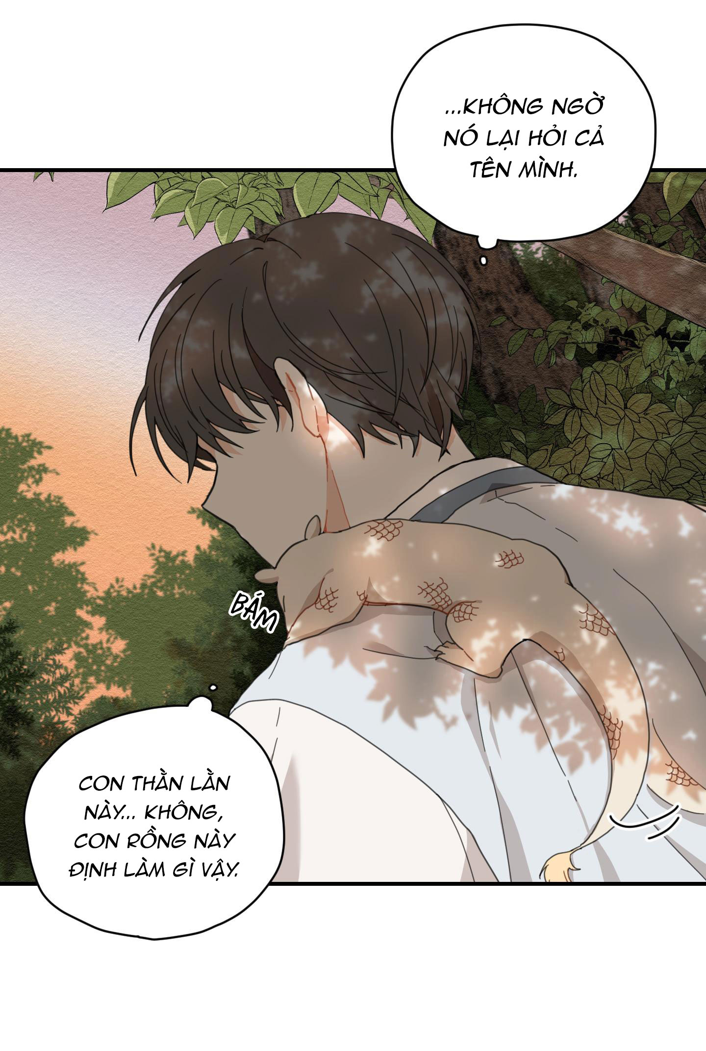 đường hoa liên kiều rơi chapter 2 43