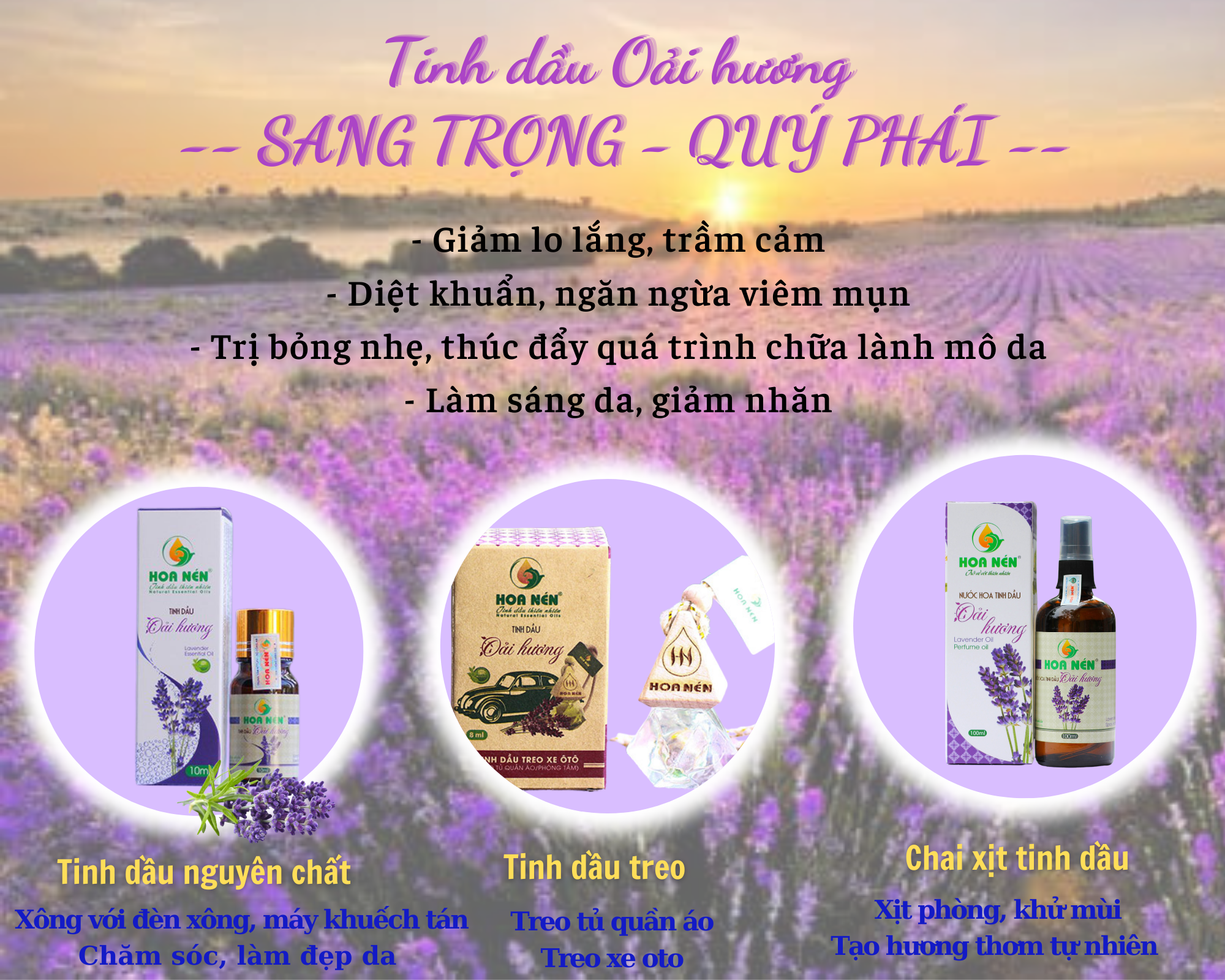 Tinh dầu hoa Oải Hương nguyên chất Hoa Nén 3ml - 50ml - Làm thơm phòng, đuổi muỗi, ngủ ngon