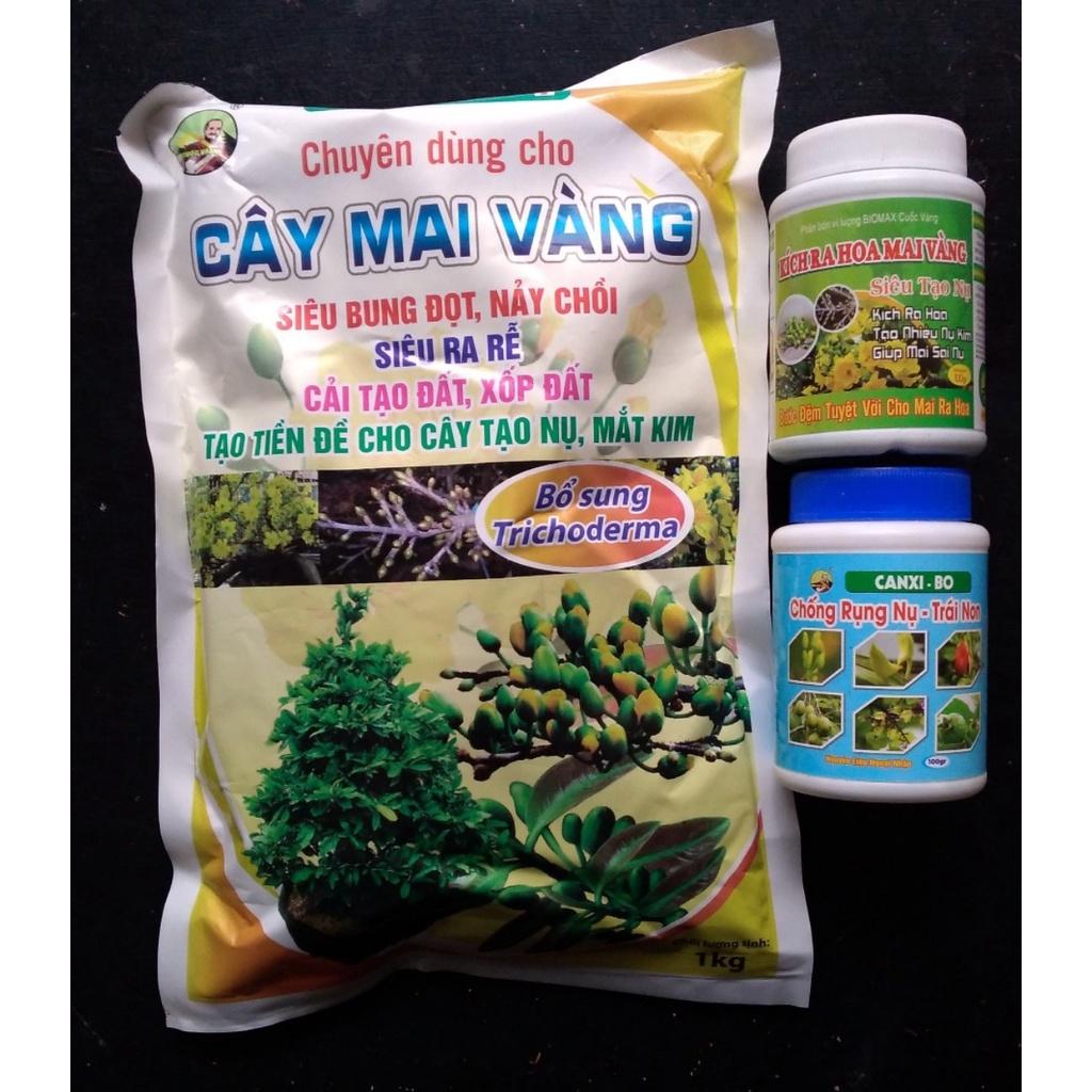 Bộ 3 sản phẩm chõng rụng nụ - kích cho hoa Mai trước Tết