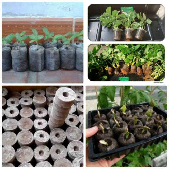 10 viên nén ươm hạt/ viên nén xơ dừa size trung