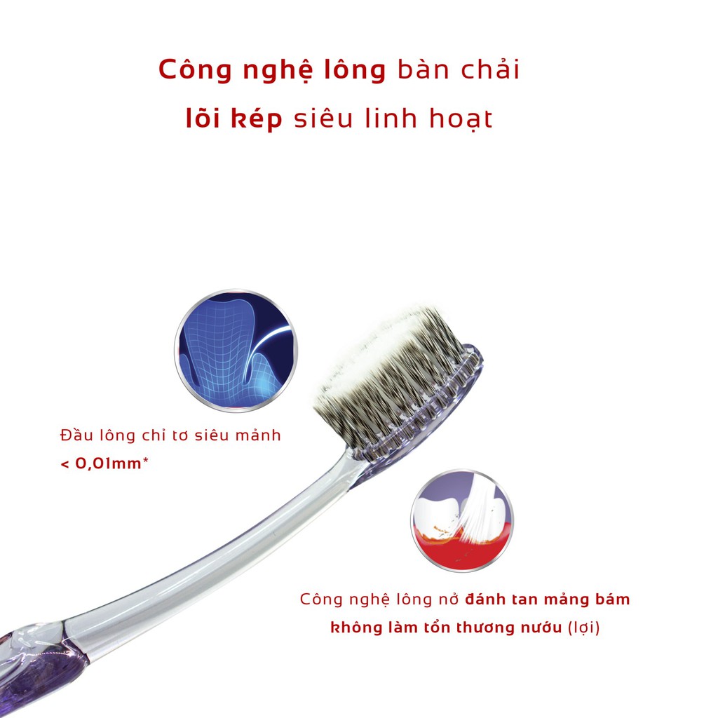 Combo 03 Bàn Chải Đánh Răng Lipzo Áo Dài Dành Cho Người Lớn Công Nghệ Chỉ Tơ Xoắn Kép Kháng Khuẩn Siêu Mảnh