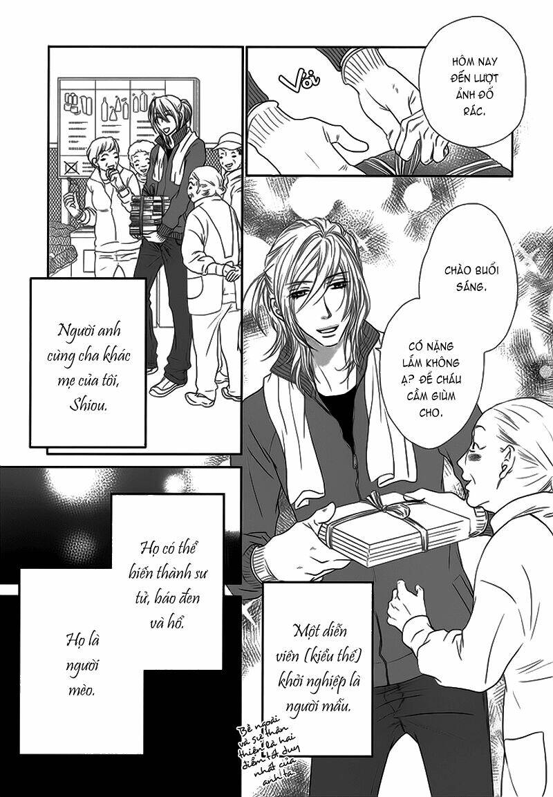 nekoka danshi no shitsukekata chapter 11 7