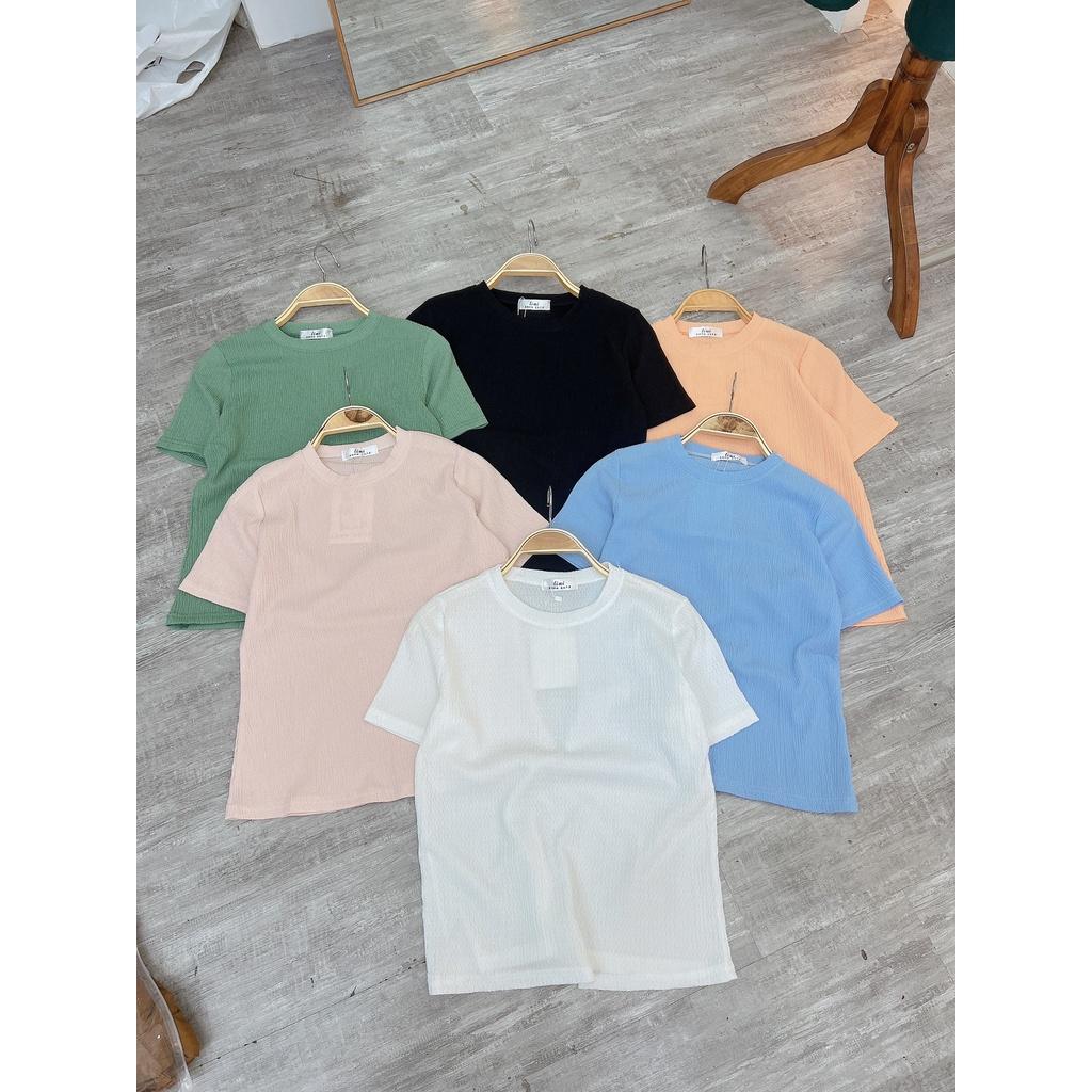 Áo nhăn cổ tròn basic SV530