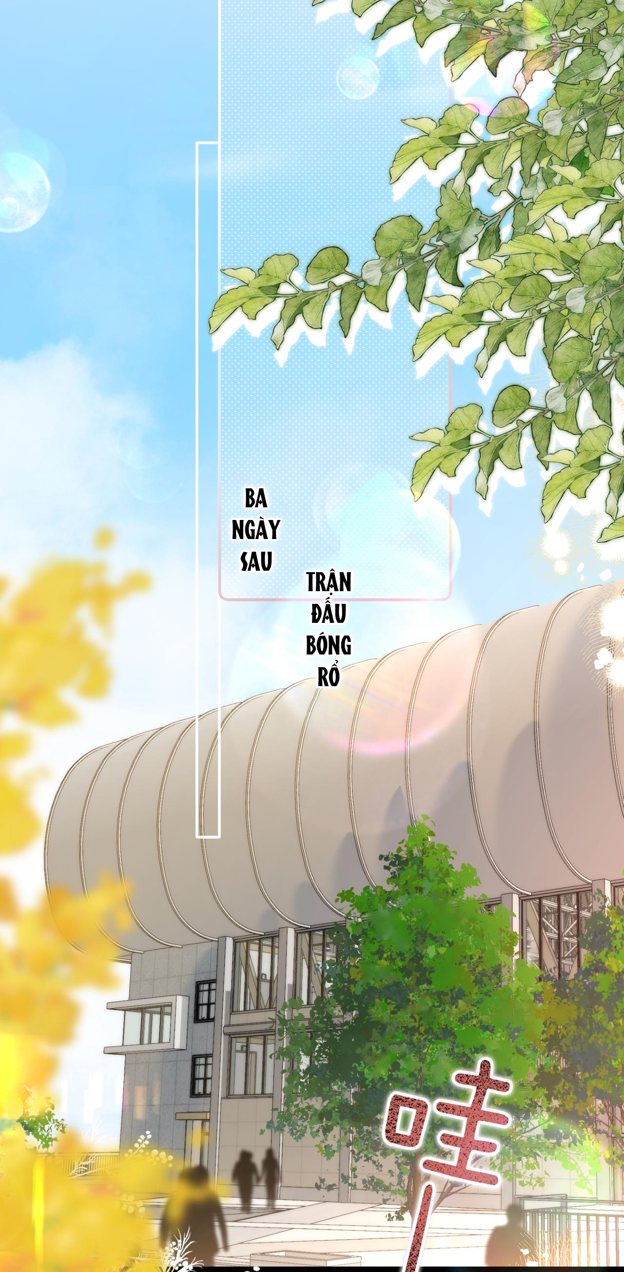 tôi mơ giữa ban ngày chapter 63 8