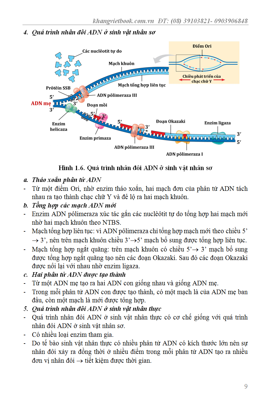 CÔNG PHÁ LÝ THUYẾT SINH HỌC QUYỂN 1