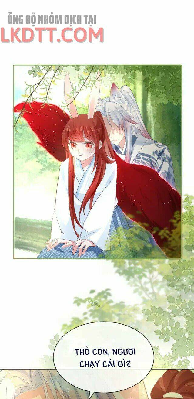 hắc hóa nam chính trực tuyến nuôi thỏ chapter 23 29