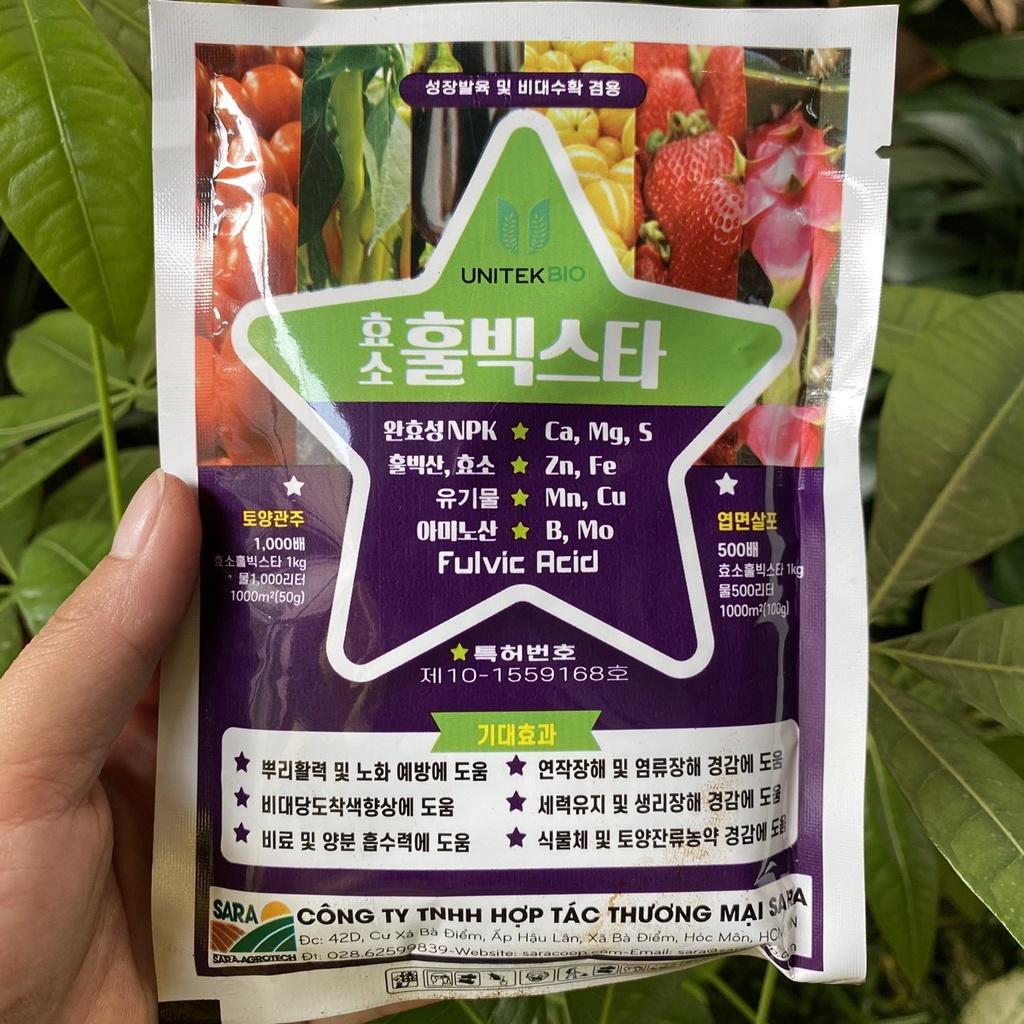 Combo 3 bịch Dinh dưỡng tổng hợp cho cây ZYME FULVIC STAR 40G/bịch