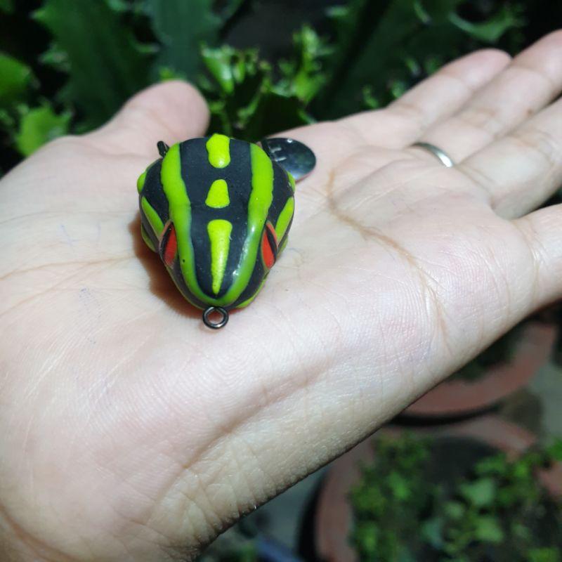 Nhái hơi Thái Lan Poison Frog / Chìm và nổi
