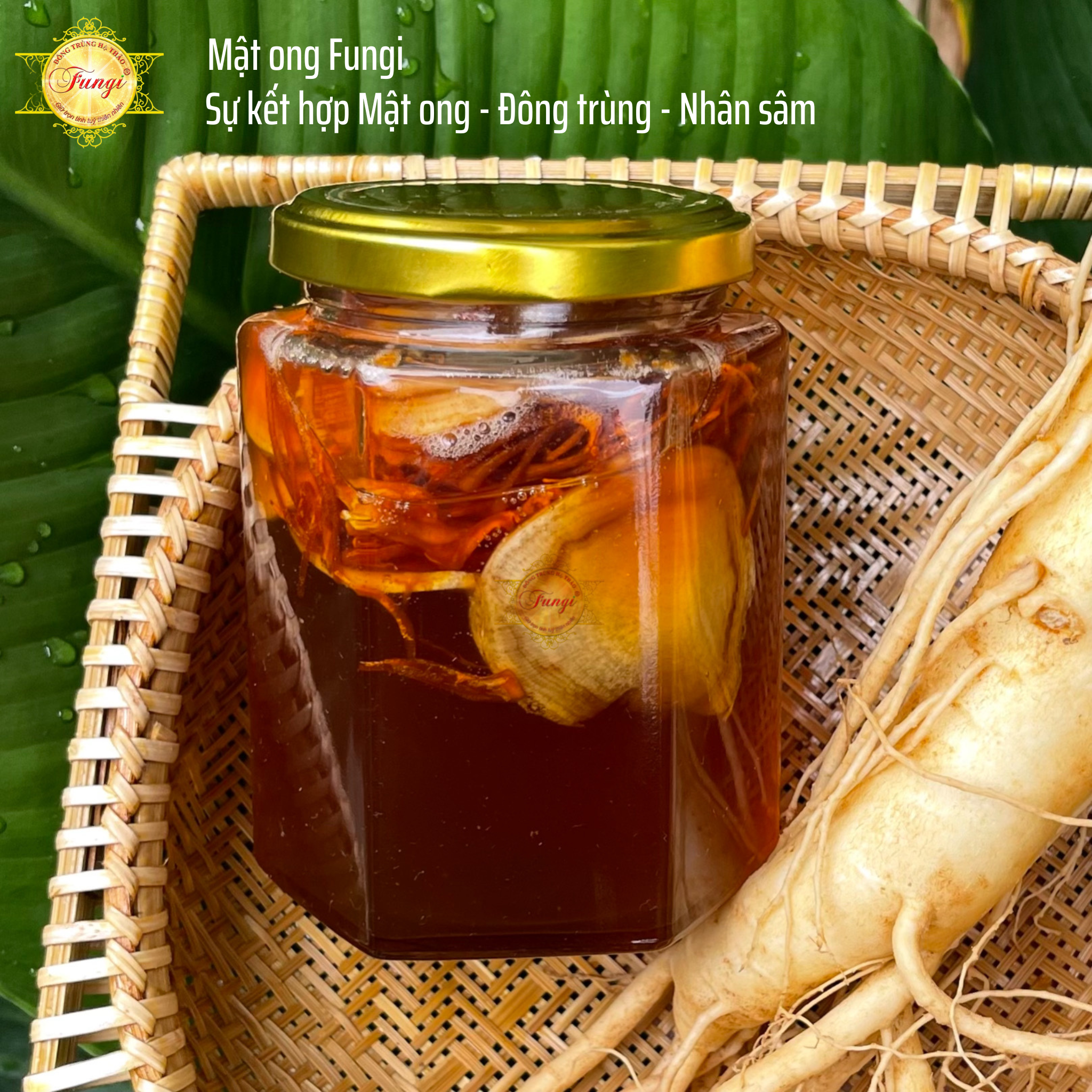 Mật Ong Đông Trùng Hạ Thảo Fungi