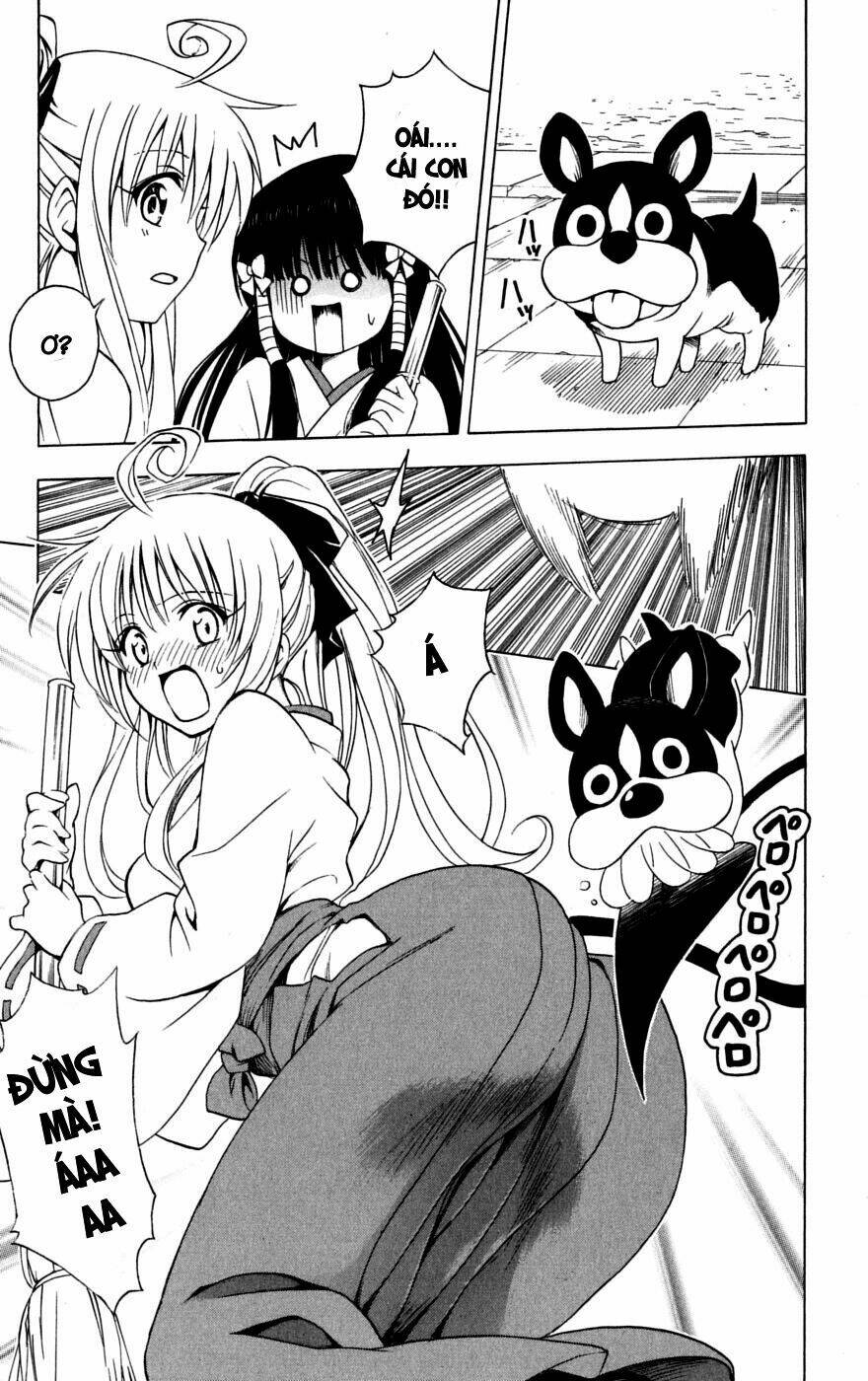 bọn tớ thích cậu! rito chapter 134 17