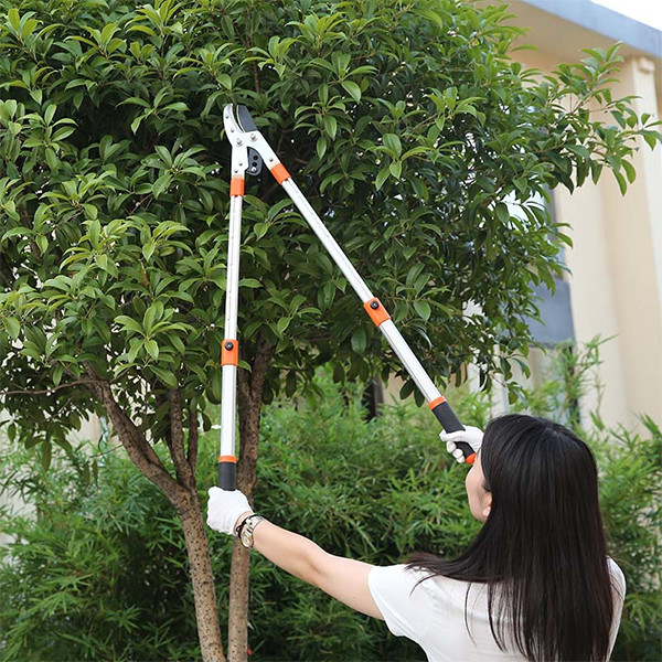 Kéo Cộng Lực Cắt Tỉa Cành Cây, Kìm Cắt Tỉa Cây Cành Trên Cao Có Thể Điều Chỉnh Độ Dài Của Cán, Dụng Cụ Cắt Tỉa, Bấm Cành Cây Cành Tiện Lợi.