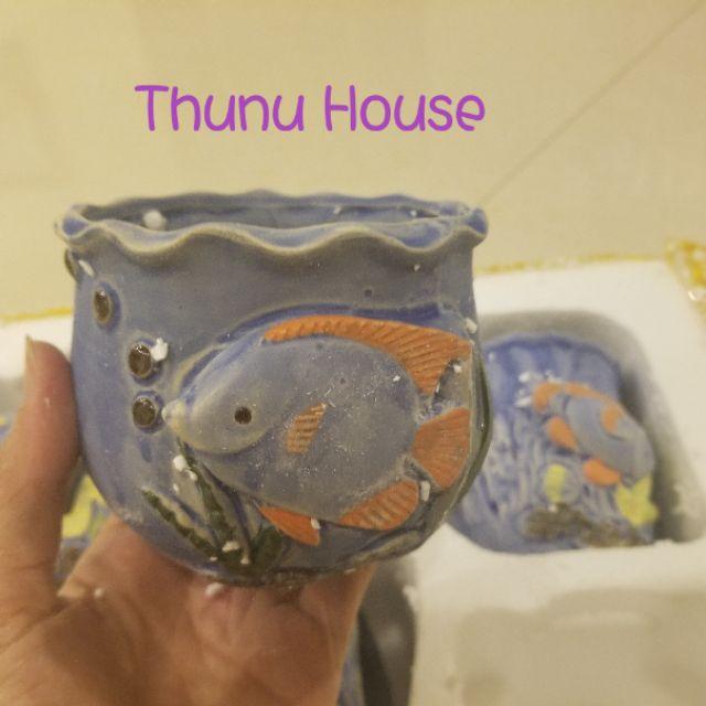 5 Chậu hình cá mini
