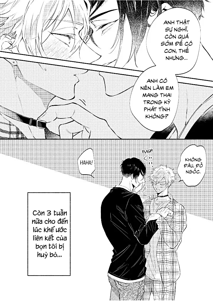 [18+]anh alpha kia! ly hôn đi chapter 1.2 13