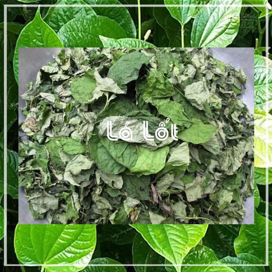 Cây Lá Lốt khô đóng gói 1kg