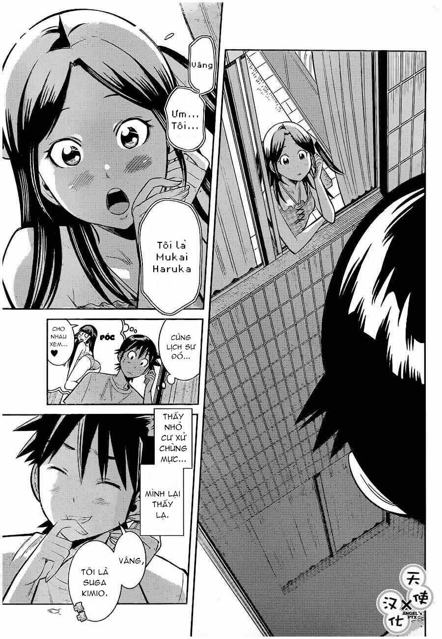 nozo x kimi chapter 35 14