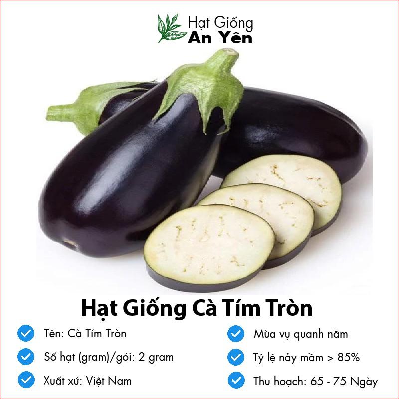 Hạt giống Cà Tím Tròn Quả To thu hoạch sớm, dễ trồng, nảy mầm cao, sinh trưởng khoẻ