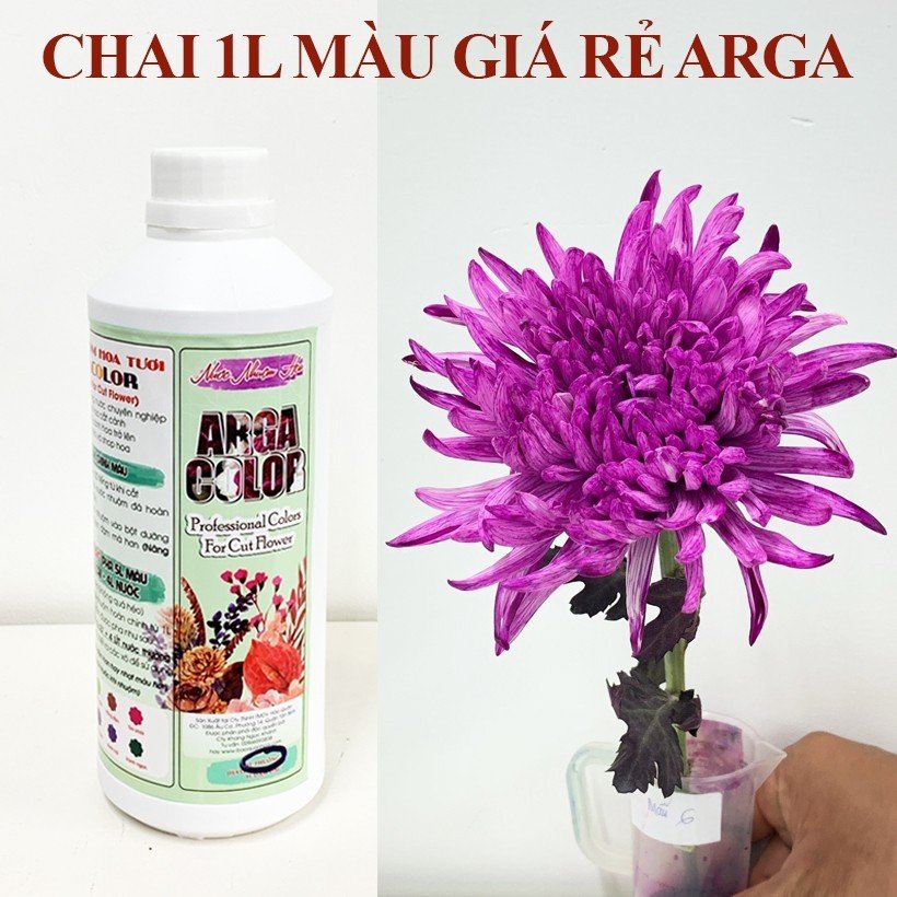Nước Màu Nhuộm Hoa Tươi giúp đổi màu hoa cắt cành Chai 1 lít nhuộm được 250 cành bông, màu lên nhanh, đẹp và bền màu.