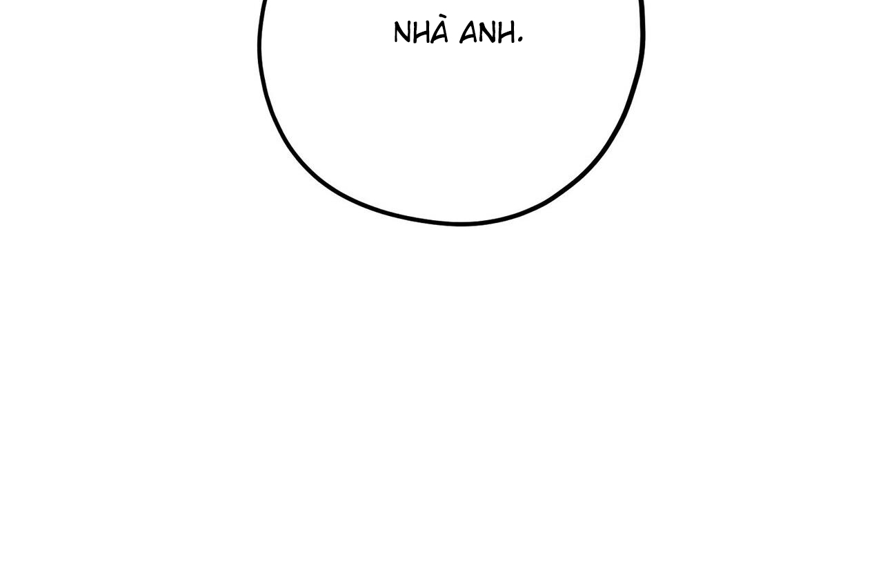 chàng dâu nhà họ kang chapter 32 133