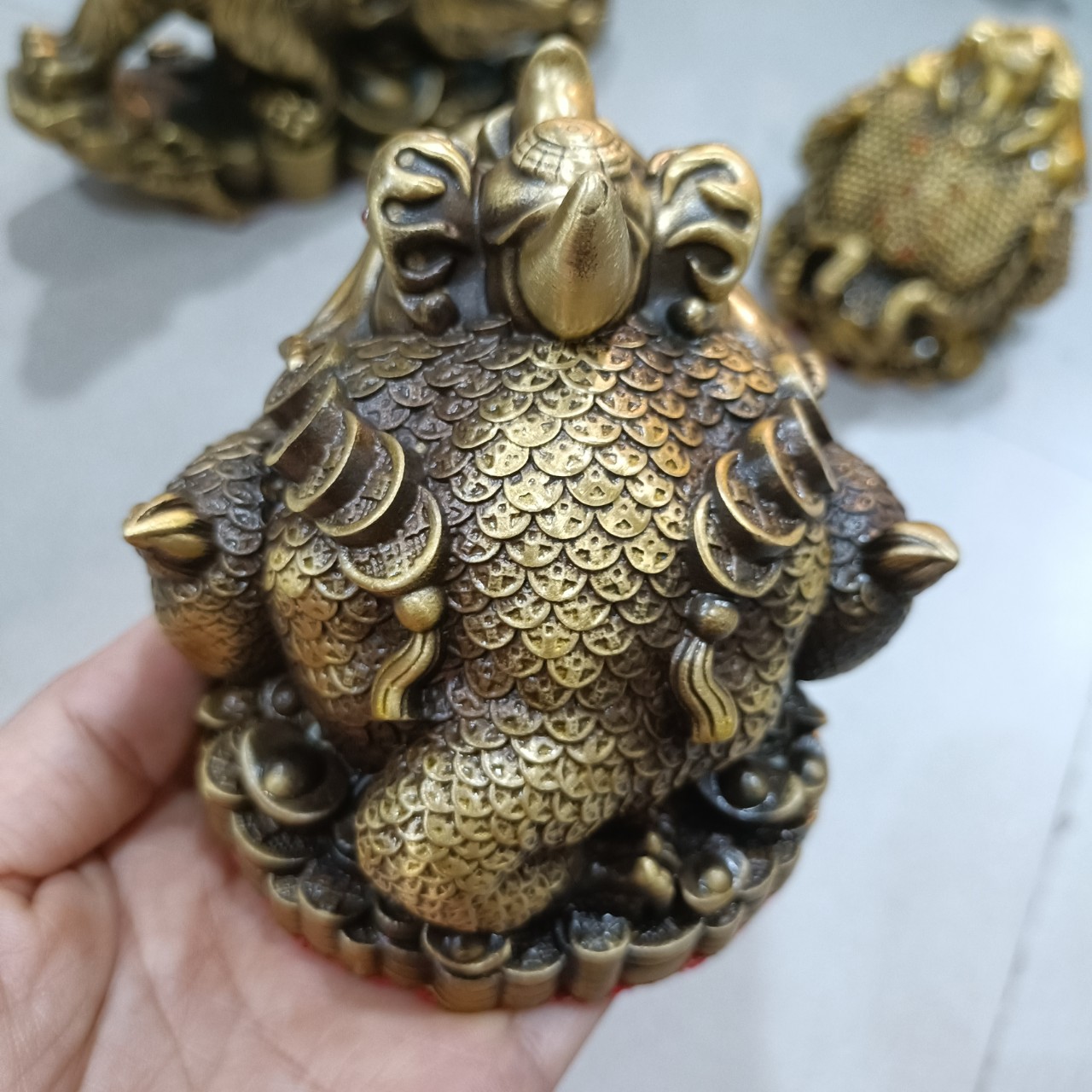 Cóc thiềm thừ, cóc phong thủy, cóc đồng vàng