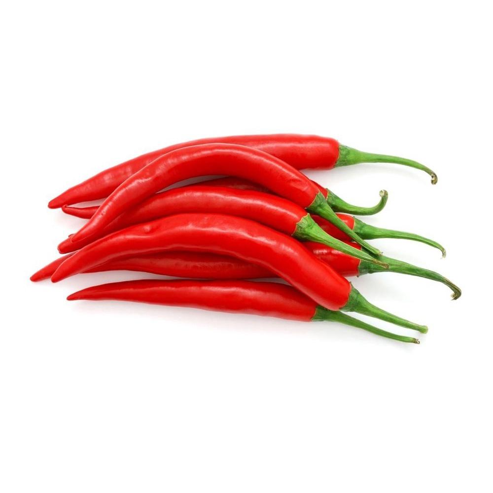 Hạt gống ớt xiêm - nhiều trái siêu giòn gói 0.2gr/30hạt
