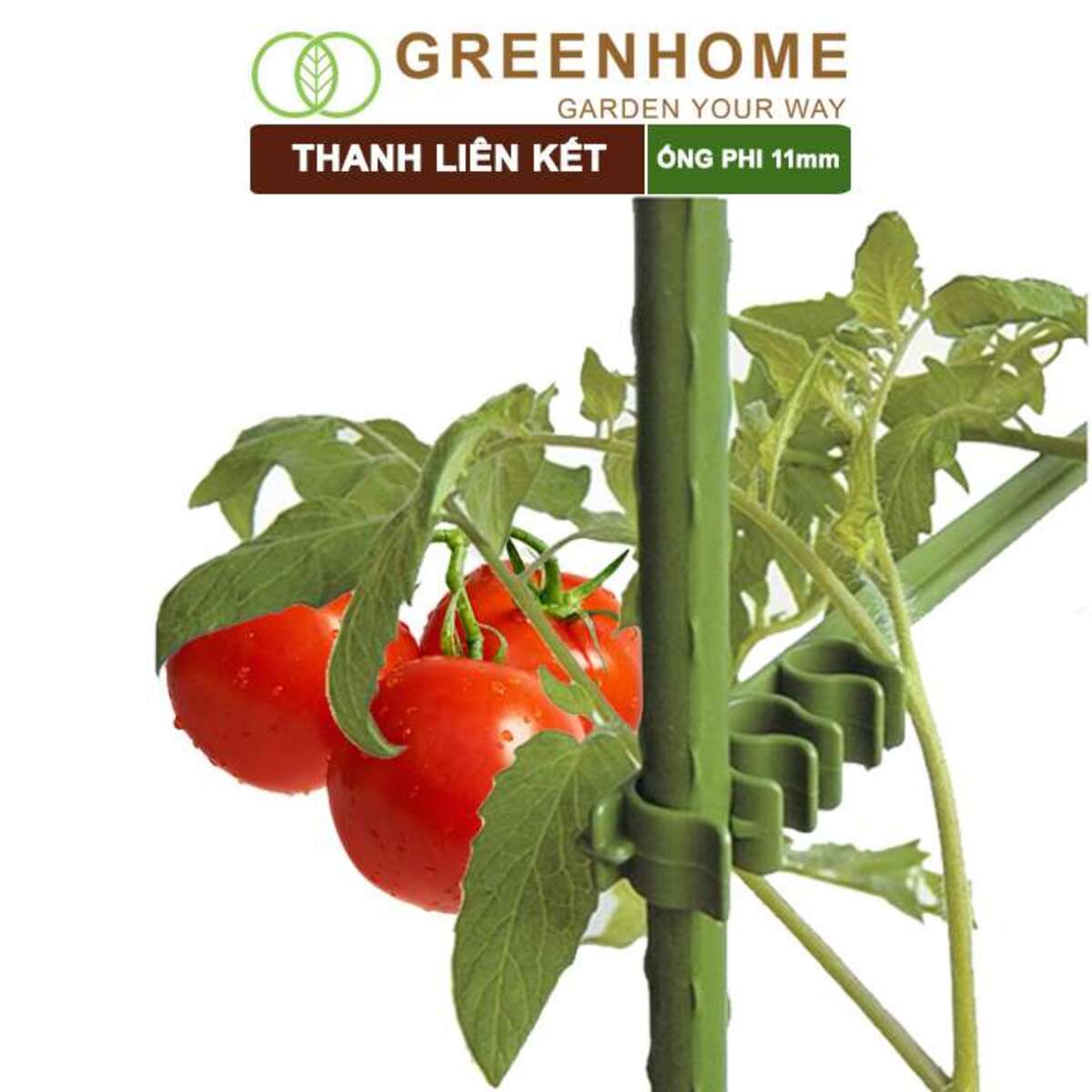 Thanh liên kết ống phi 11mm, Nhật Bản, Daim, hỗ trợ làm khung, giàn cây leo, dễ lắp ráp |Greenhome