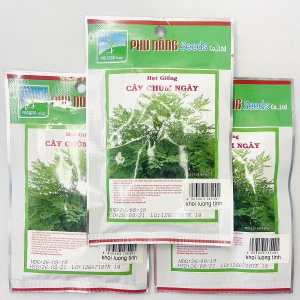 Hạt giống cây chùm ngây