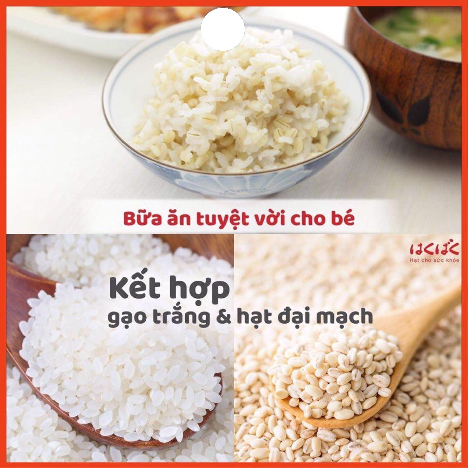 Combo 2 bịch Hạt đại mạch Hakubaku (gạo Mochimugi) Nhật Bản chính hãng - gói lớn 800gr/ bịch