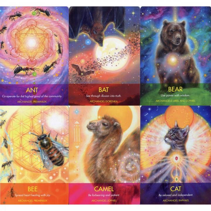 Bài Archangel Animal Oracle Tặng Đá Thanh Tẩy