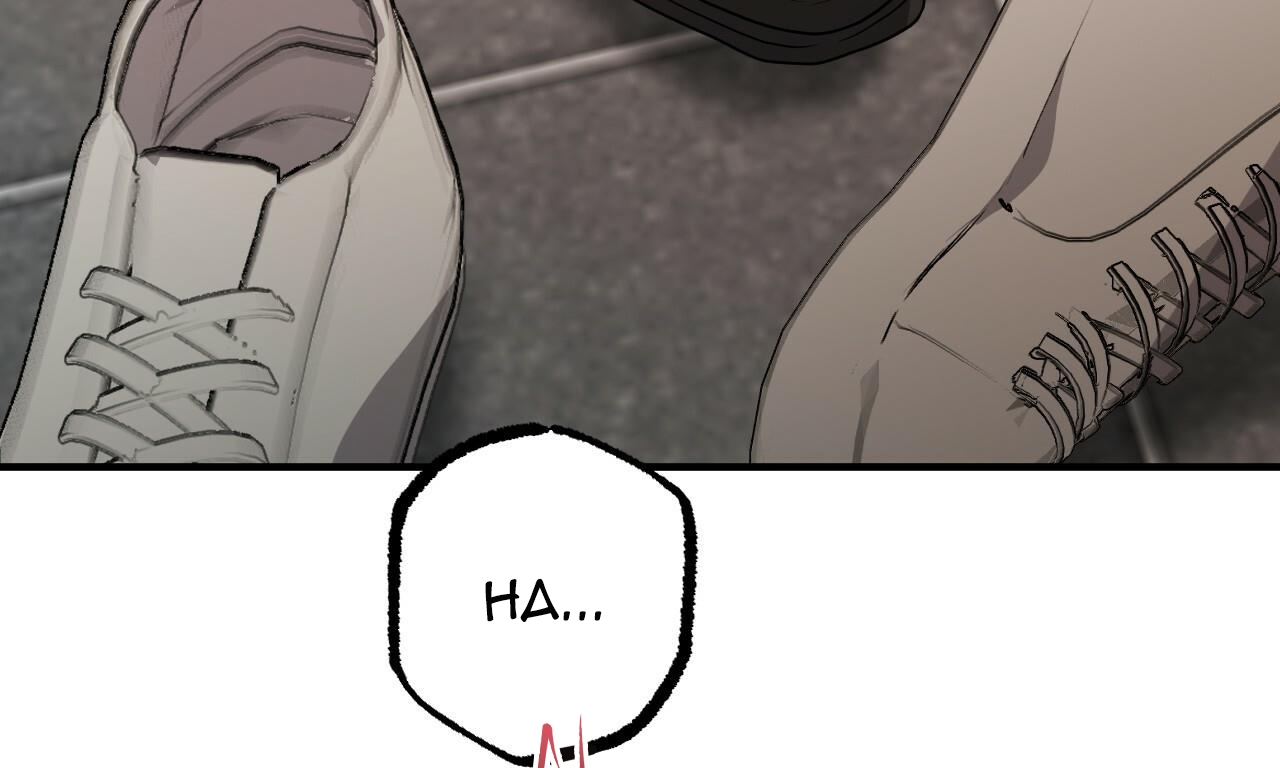 đàn thỏ của habibi chapter 43 9