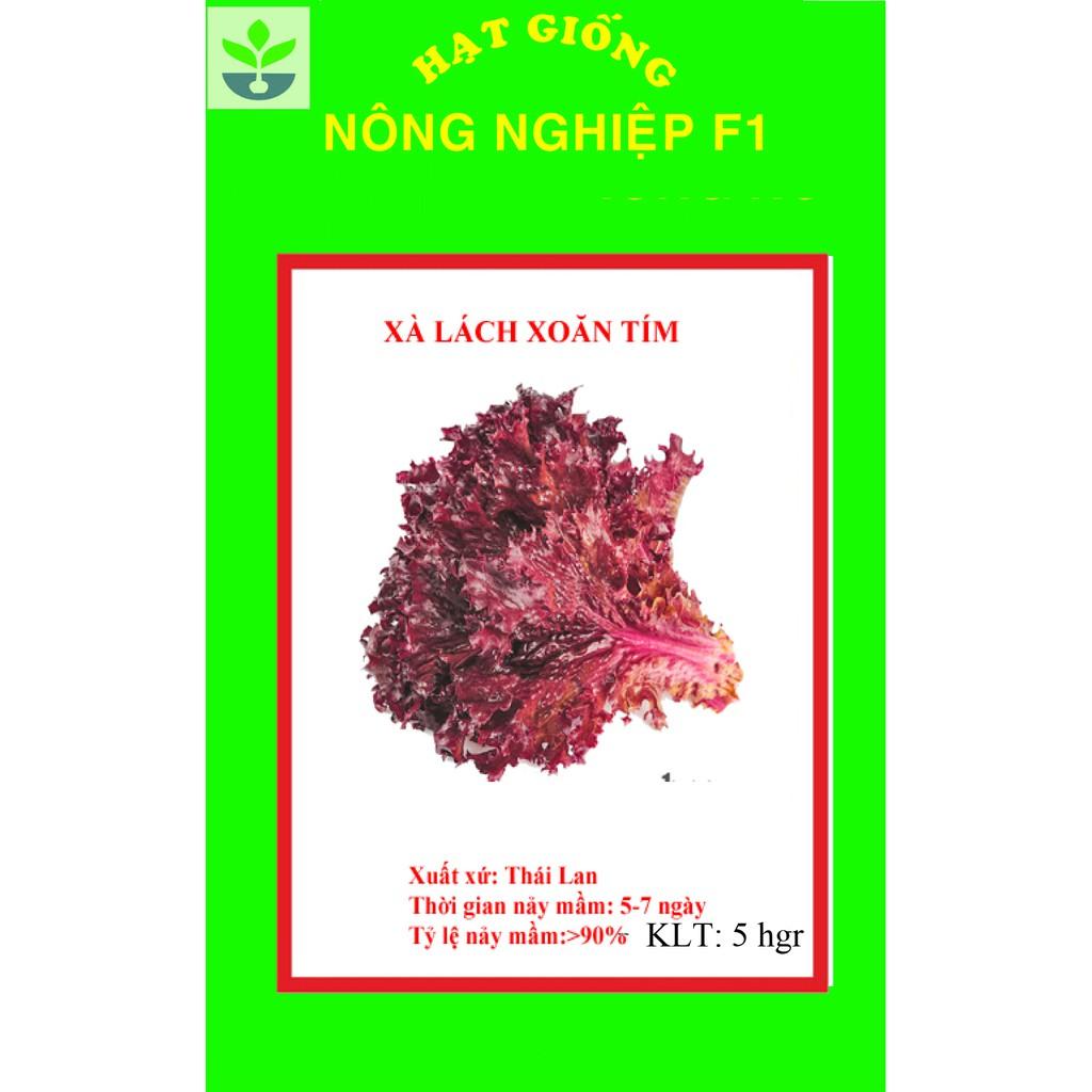 Gói 5 gr hạt giống xà lách xoăn tím