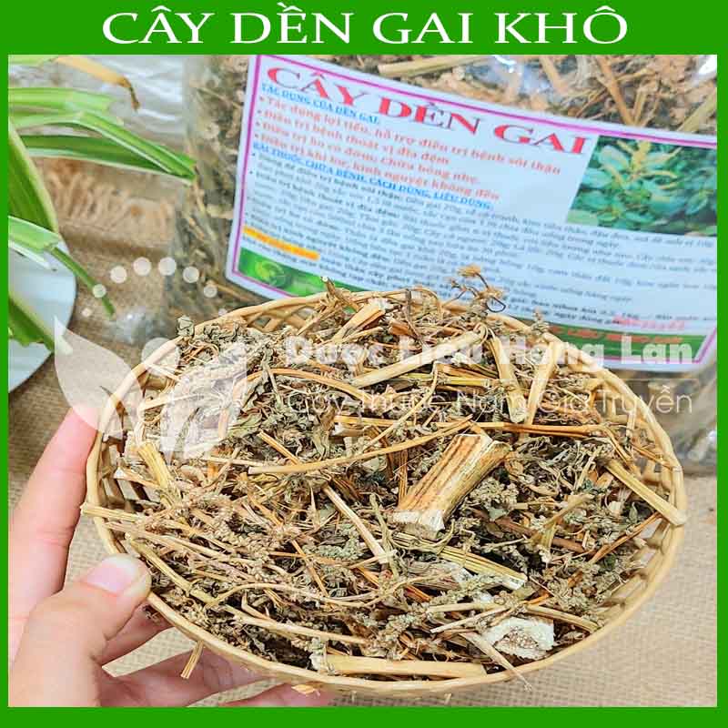 Cây Dền Gai khô sạch đóng gói 500gram