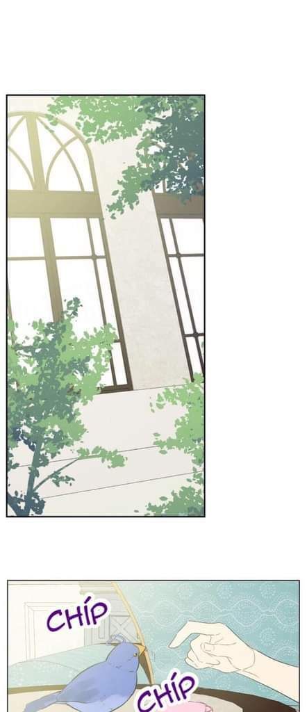 một ngày nọ tôi bỗng thành nàng công chúa chapter 51 23