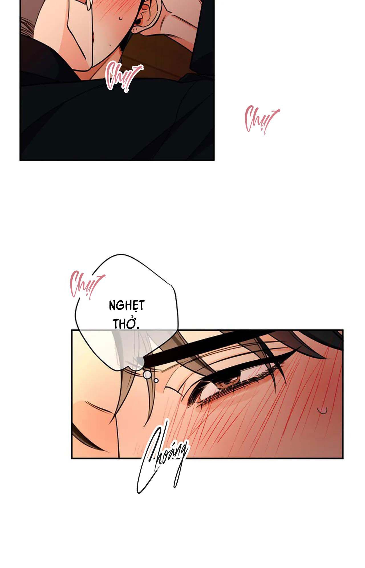 đêm dịu dàng chapter 46 14