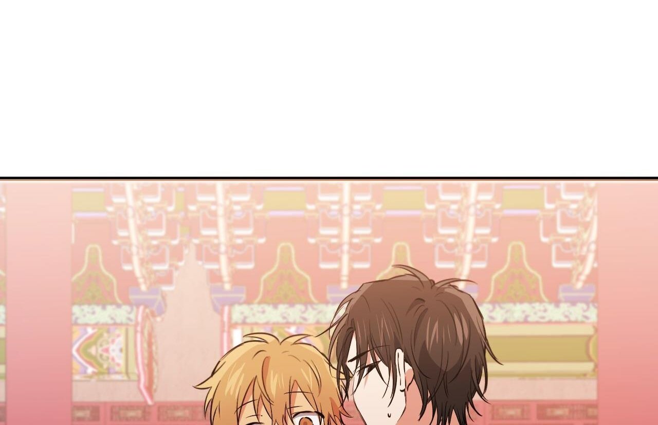 những chú thỏ của hapypy chapter 62 234