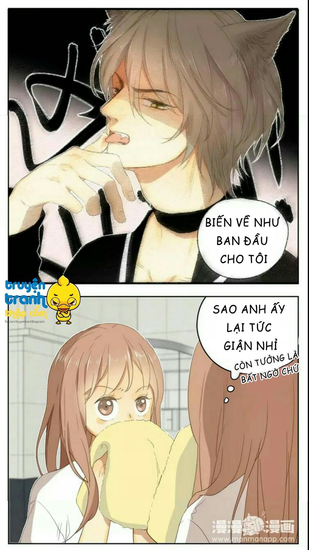 cứu mạng ! loài mèo thống trị thế giới rồi ! chapter 36 16