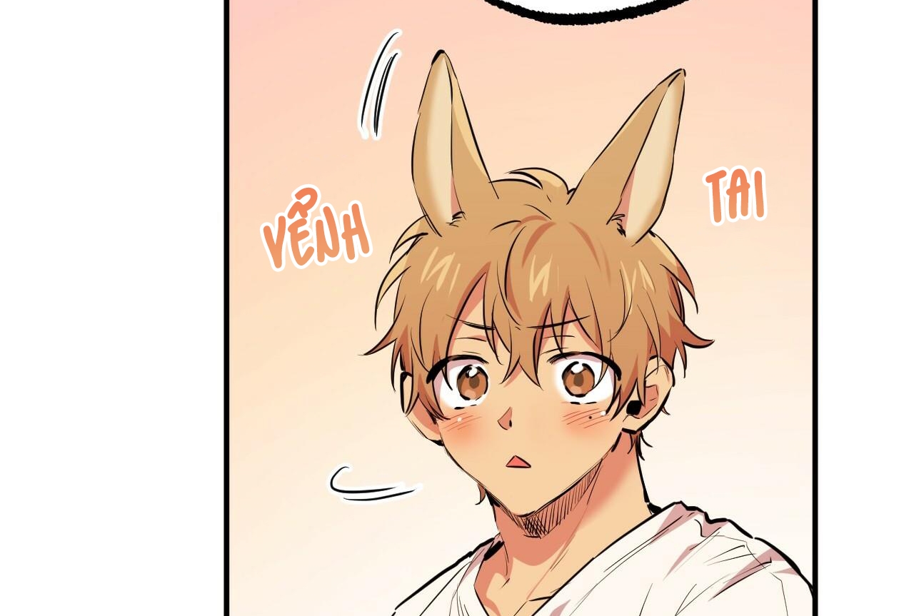 đàn thỏ của habibi chapter 35 206