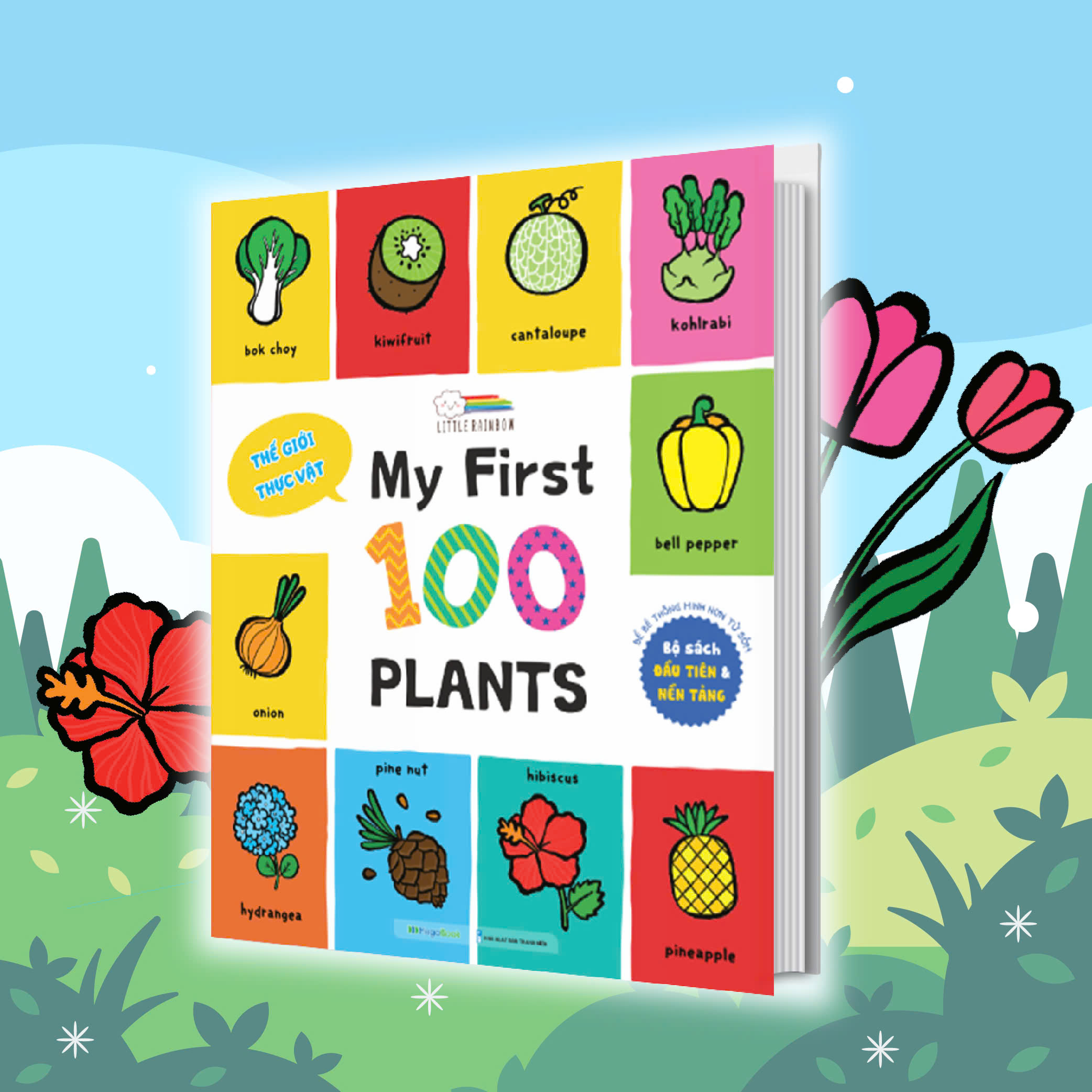 Combo My First 100 Plants - 100 Alphabet - Transport &amp; Jobs (3 cuốn)