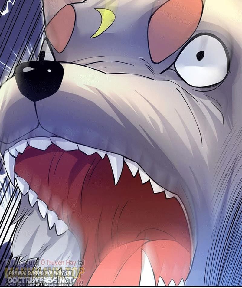 bắt đầu với kiếm vực, ta lặng lẽ tu luyện thành kiếm thần chapter 6 41