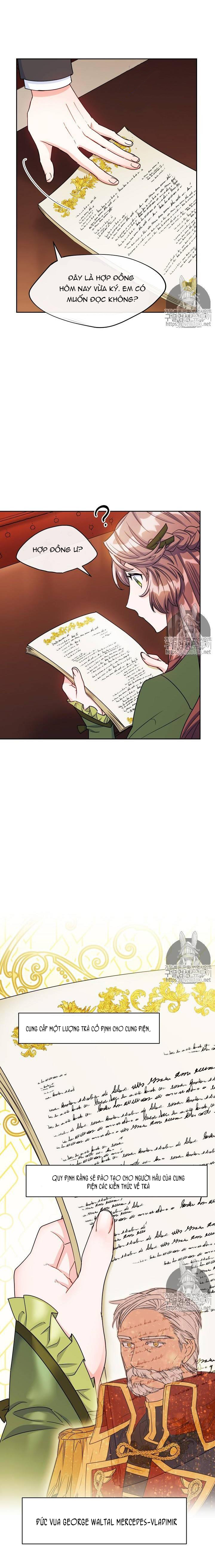 50 công thức pha trà của nữ công tước chapter 46 27