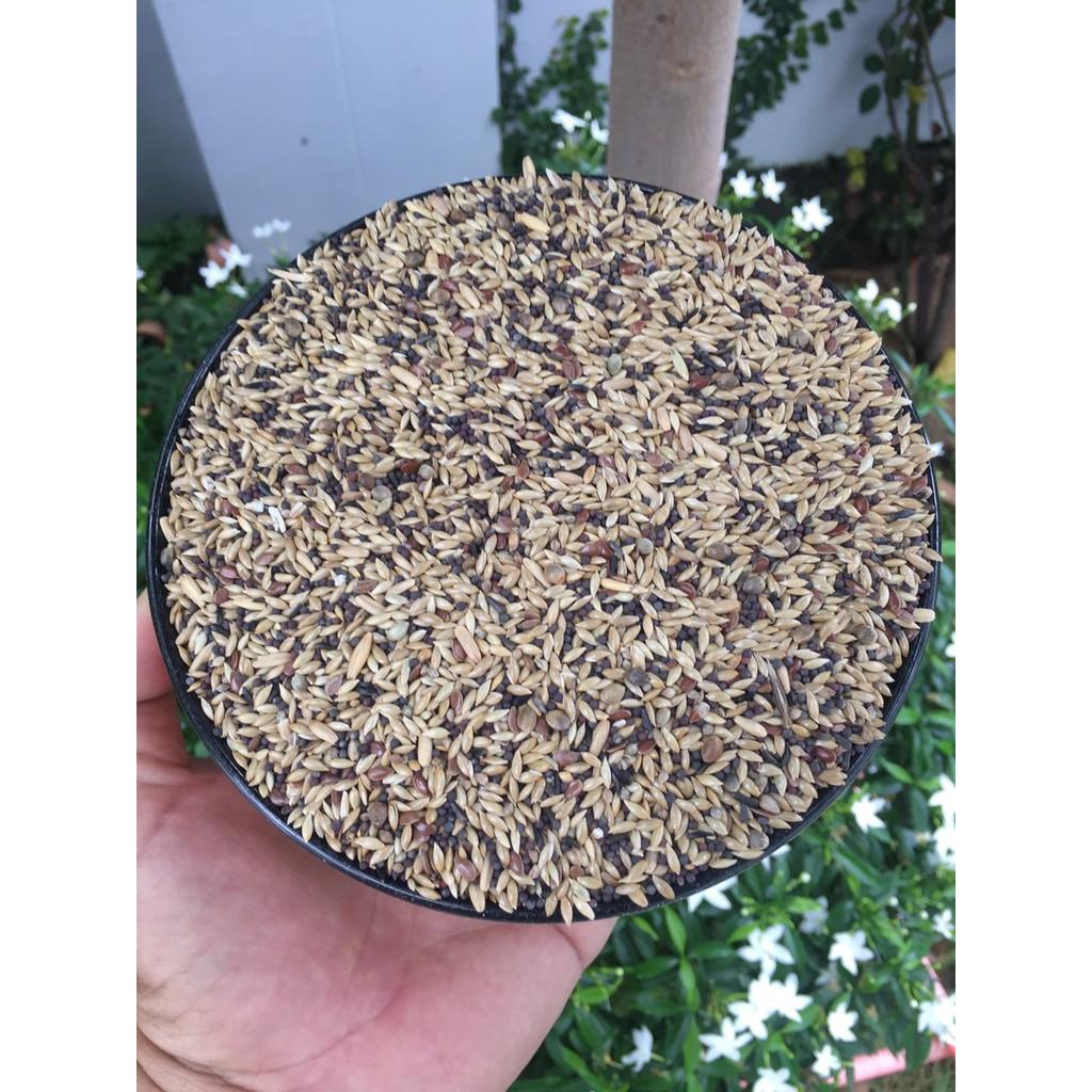 Hạt trộn dành cho yến hot hàng tự trộn bị 1kg