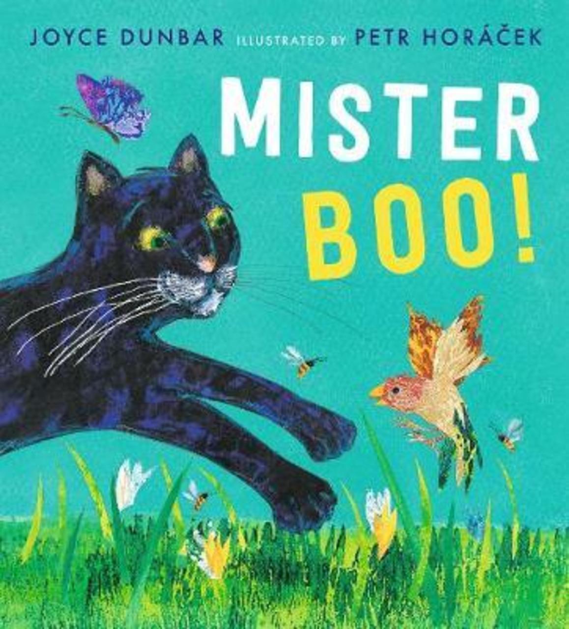 Sách - Mister Boo! by Joyce Dunbar Petr Horacek