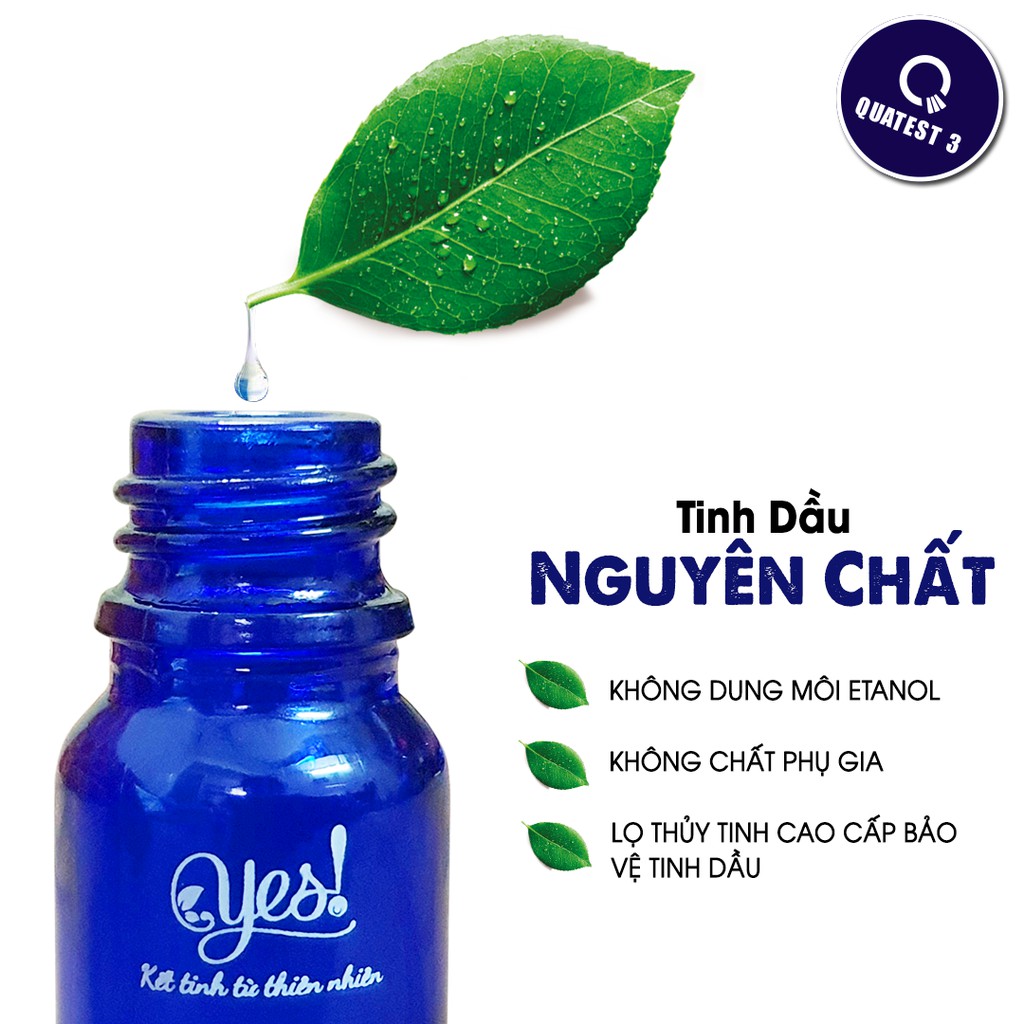 TINH DẦU GỖ HỒNG YES!
