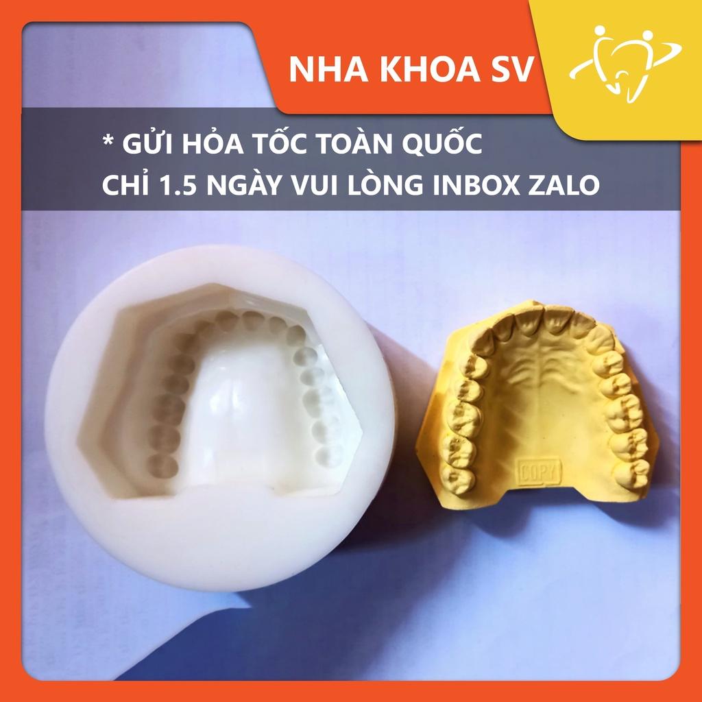 MOULD RĂNG ĐỔ MẪU HÀM THẠCH CAO