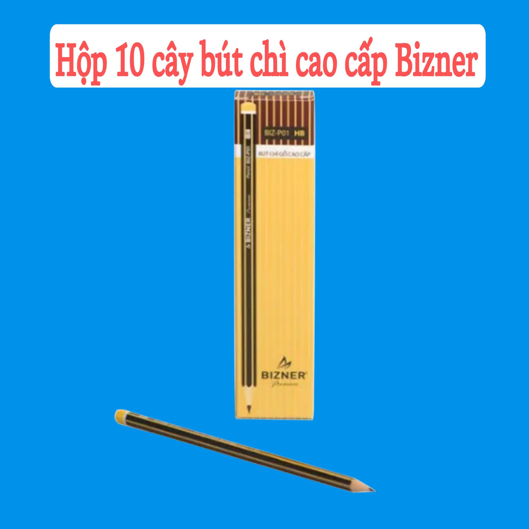 Hộp 10 cây bút chì gỗ lục giác HB Bizner Thiên Long BIZ-P01 viết êm trơn, ít gãy