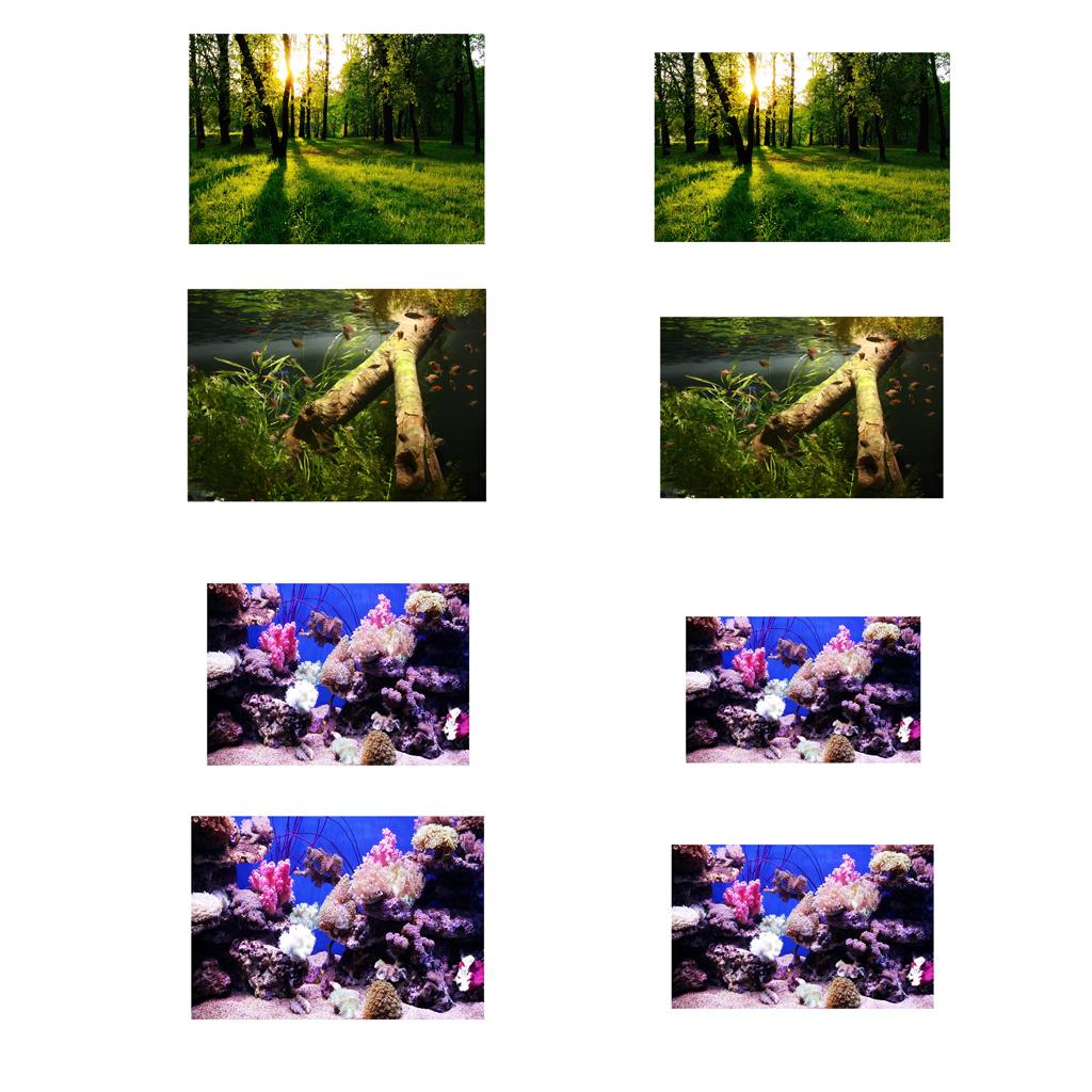 Aquarium Background Adhesive Poster Fish Tank Wall Decorations Sticker