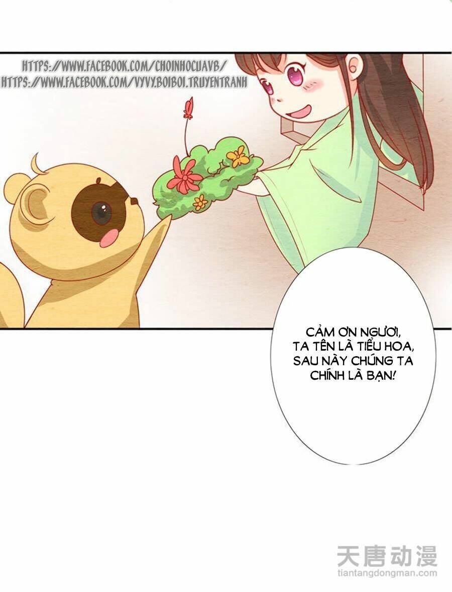 nhân hoa duyên chi sư phụ đại nhân cầu sủng ái chapter 11 21