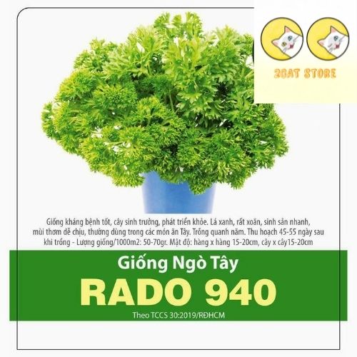 Hạt giống ngò tây lá xoăn, rau gia vị, parsley, rau mùi xoăn