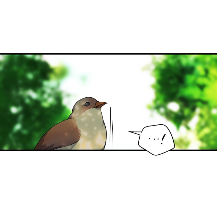 bị che khuất bởi hoàng hôn chapter 15 22